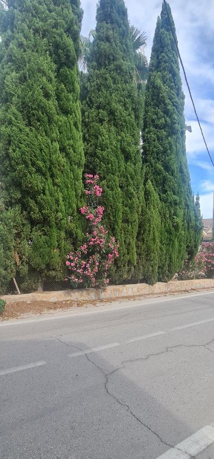 Coqueto Apartamento Murcia Eksteriør billede